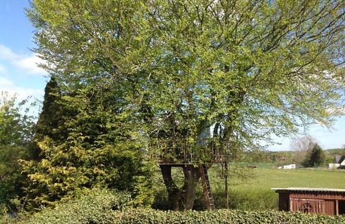 Kvaerndrup Other | Treehouse escape