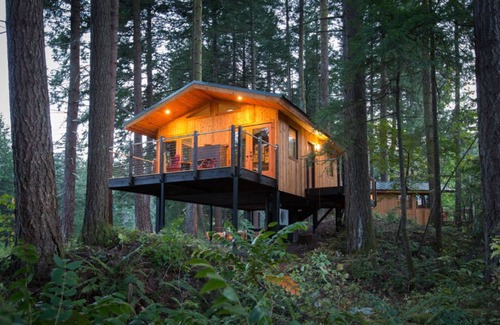 Stevenson Cabin | Treehouse Escape | Luxe Amenities + Tranquil Views
