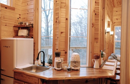 Ionia House | Treehouse in Ionia Michigan