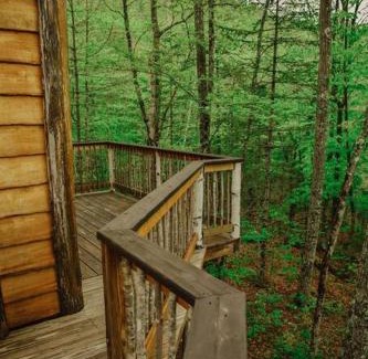 Stoneham House | Treehouse in Maine woods- The Grand Oak