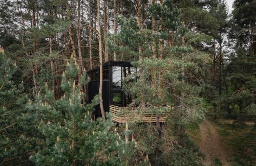 Gudeliai Villa | Treehouse Virš Bedugnės