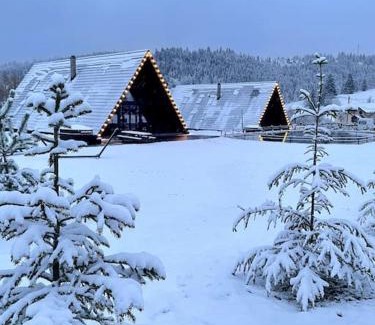 Palanca House | Treeline Cabins