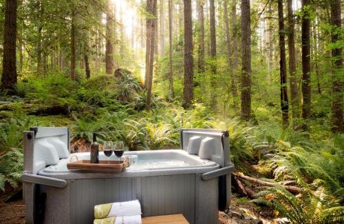 Glacier House | Treetop Hideaway, Sleeps 2