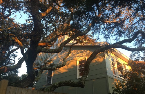 Buxton Apartment | Treetop retreat. Perfect for one or two.