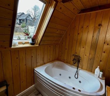 Petrosani Cabin | Triangle House Parang