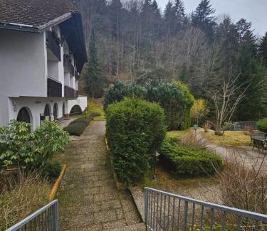 Triberg im Schwarzwald Apartment | Triberg Falls Hideaway - Apartment 35