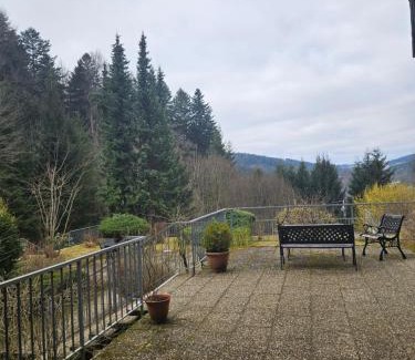 Triberg im Schwarzwald Apartment | Triberg Falls Hideaway - Apartment 35