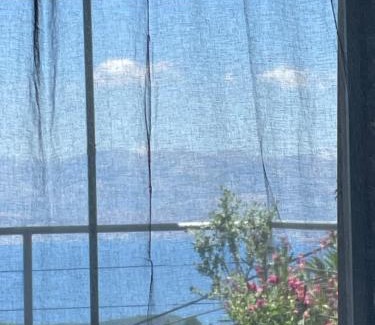 Karpenisi House | Tritzi house