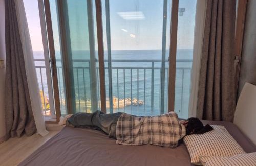 Buk-gu Apartment | Trium Ocean View