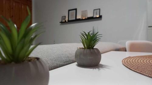 Troezen Apartment | TriΖin