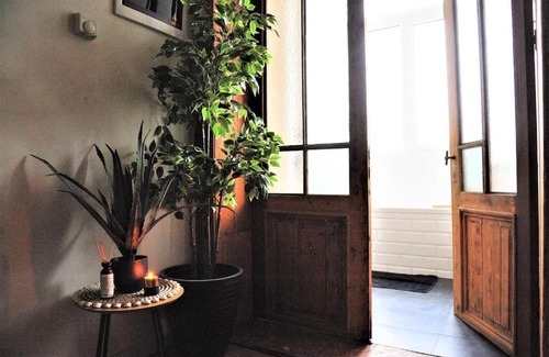 South Antwerp Apartment | Tropical Dive, 2BDR Apartment