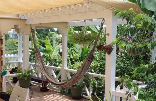 All Saints Apartment | Tropical garden cottage -private with patio & courtyard. Plus vehicle for rent