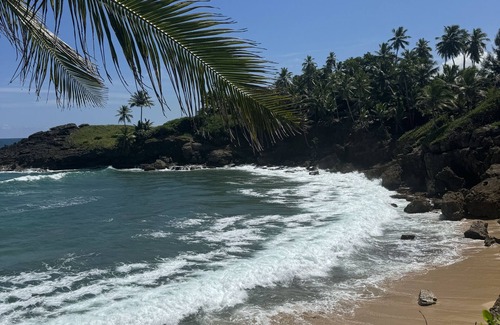 Cerro Gordo Apartment | Tropical Retreat: Beachside 1BR in Vega Alta