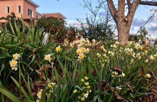Peyia Town Villa | Trouzini Villa 1