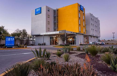 San Luis Potosi Hotel | TRYP by Wyndham San Luis Potosi Hotel & Suites