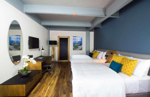 San Luis Potosi Hotel | TRYP by Wyndham San Luis Potosi Hotel & Suites