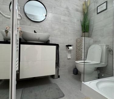 Curtea De Arges Apartment | TS Room