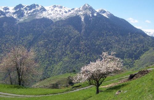 Baqueira Hotel | Tuc Blanc