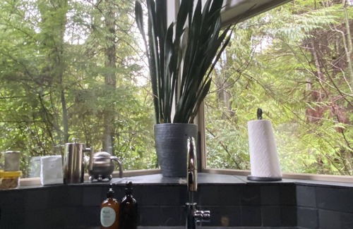 Tofino House | Tucked In The Rainforest, Across The Road From Tofino's Best Surf! Soaker Tub!
