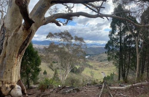 Greenway Apartment | Tuggeranong Village