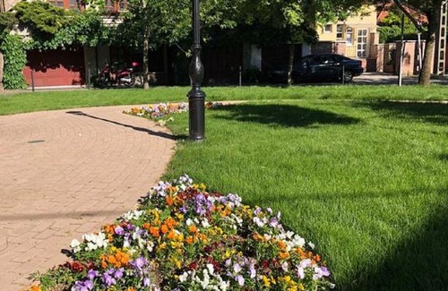 Szolnok Bed & Breakfast | Tulipán Villa Panzió