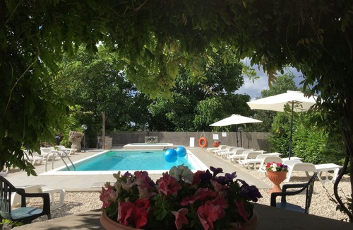 Vitorchiano Apartment | Tulipano apartment