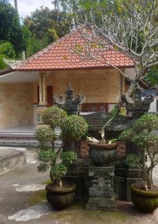 Lodtunduh House | Tunjung kuning