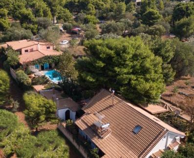 Nea Makri House | Turdus Merula Retreat