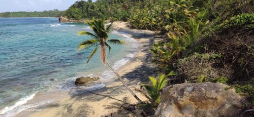 Calibishie Villa | Turtle Beach villa, Private beach