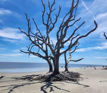 Jekyll Island House | Turtle Tracks B