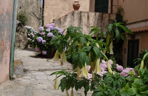 Marciana House | Tuscany, Elba Island, Poggio: charming house in typical village overlooking the sea