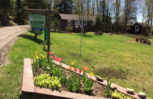 Charleston Cottage | TWIN Cottage - Cozy cottage with generous deck and beautiful lake view.