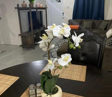 Discovery Bay House | TWO KING BEDS NEAR PUERTO SECO BEACH