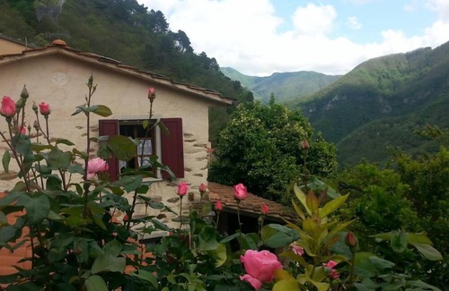 Stazzema House | Typical dwelling - Old renovated rustic house with private garden.