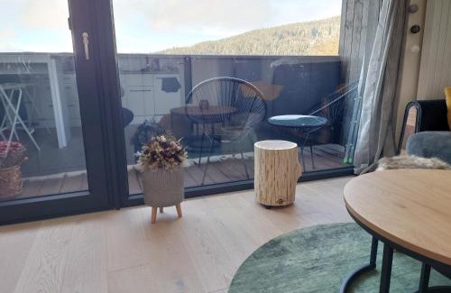 Zelezna Ruda Apartment | U Šumavské Lípy