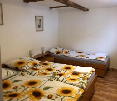 Jachymov House | U Monka - Jáchymov Klínovec
