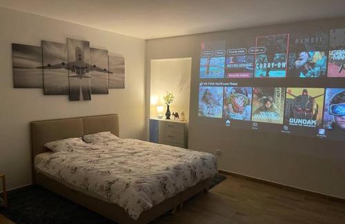 Strakonice Apartment | U Tonyho - Homestay Strakonice 1-kk