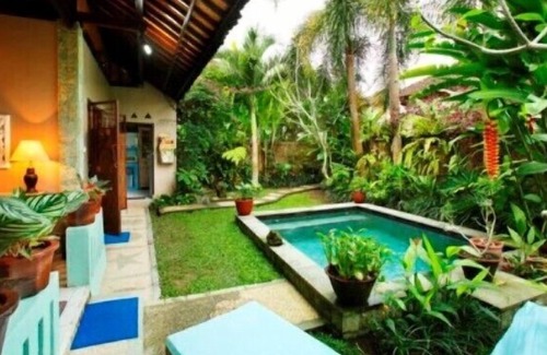 Penestanan House | Ubud Cottage/2 Bd-Pool/Views/B&B
