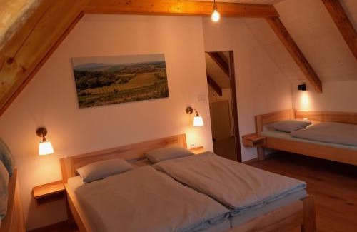 Pouzdrany Apartment | Ubytování Na sklepě u Procházků