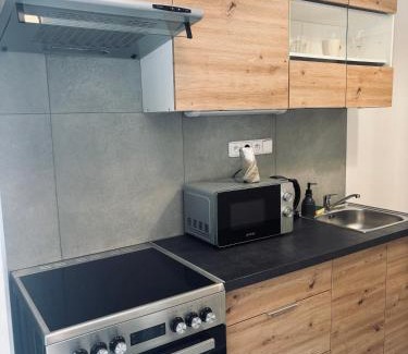 Usti nad Labem House | Ubytování Stará