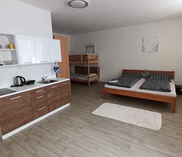 Straz nad Nezarkou Apartment | Ubytování U Jeníka Stráž nad Nežárkou Chlumecká 188