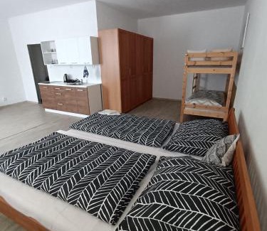 Straz nad Nezarkou Apartment | Ubytování U Jeníka Stráž nad Nežárkou Chlumecká 188