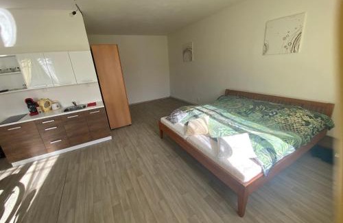 Straz nad Nezarkou Apartment | Ubytování U Jeníka Stráž nad Nežárkou Chlumecká 188