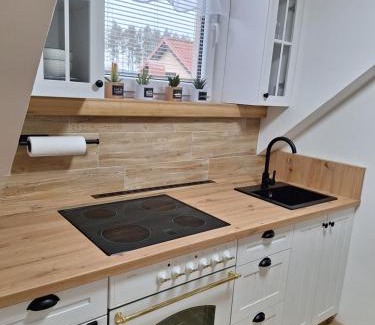 Hostetice Apartment | Ubytování U Křivánků 2