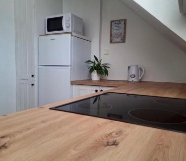 Hostetice Apartment | Ubytování U Křivánků 2