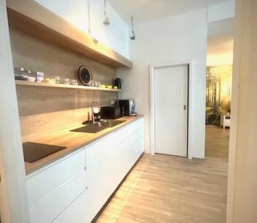 Pisek Apartment | Ubytování v srdci Písku