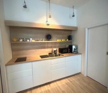 Pisek Apartment | Ubytování v srdci Písku