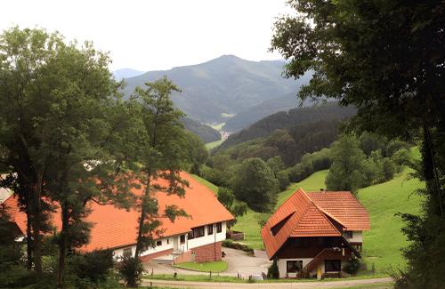Hausach Apartment | Uhlhof