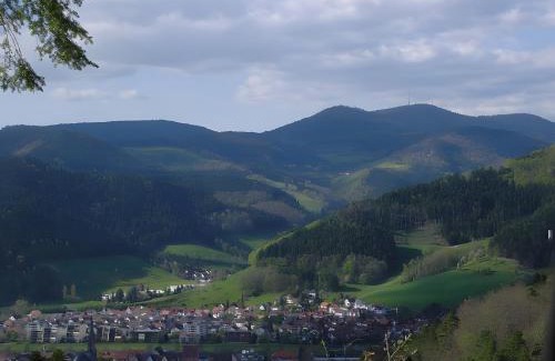 Hausach Apartment | Uhlhof
