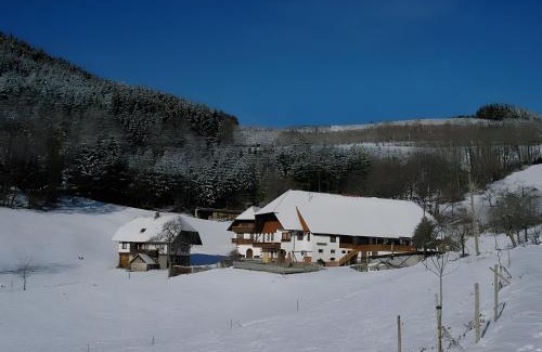 Hausach Apartment | Uhlhof